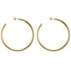Everybody's Favorite Hoop Earrings