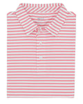Coastal Cotton Mesh Performance Stripe/Solid Polo