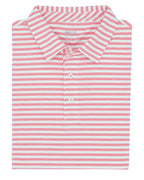 Coastal Cotton Mesh Performance Stripe/Solid Polo