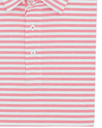 Coastal Cotton Mesh Performance Stripe/Solid Polo
