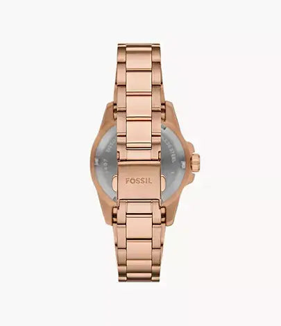 Fossil Blue Dive Three-Hand Stainless Steel Watch