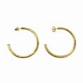 Petite Everybody's Favorite Hoops