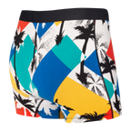 Saxx Daytripper Boxer Brief