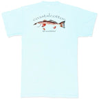 Coastal Cotton Redfish Tee