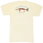 Coastal Cotton Redfish Tee