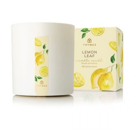 Thymes Poured Candle